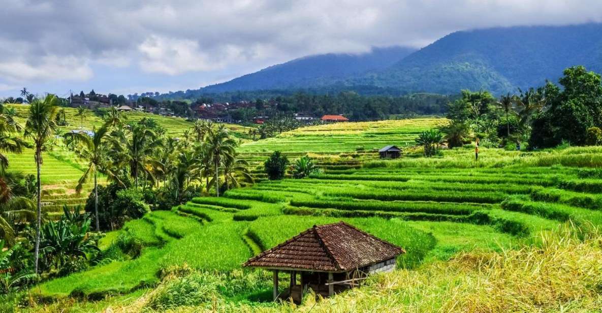 Jatiluwih’s Rice Field Terraces: A Scenic Self-Guided Audio