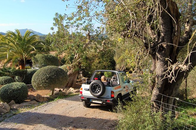 1 jeep trip express discover mallorca from the east coast Jeep Trip Express: Discover Mallorca From the East Coast