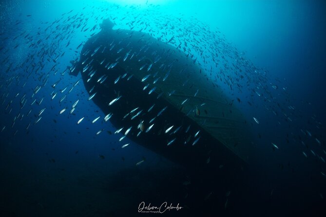 Join a Guided Dive to 2 Must See Dive Sites in Puerto Del Carmen