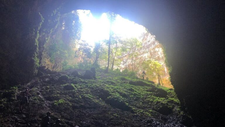 Jomblang Cave Private Tour From Yogyakarta