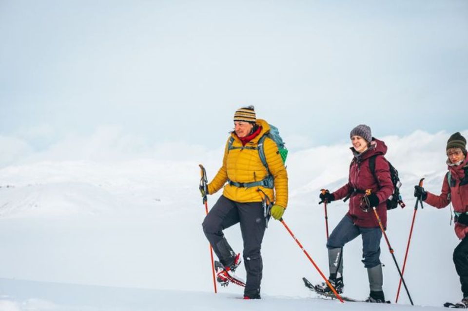 Jotunheimen: Snowcoach Tour With Lunch