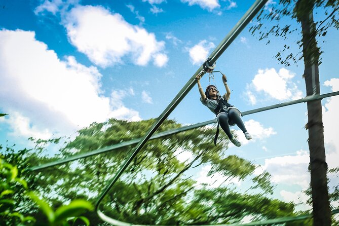 Jungle Flight Zipline Roller Coaster