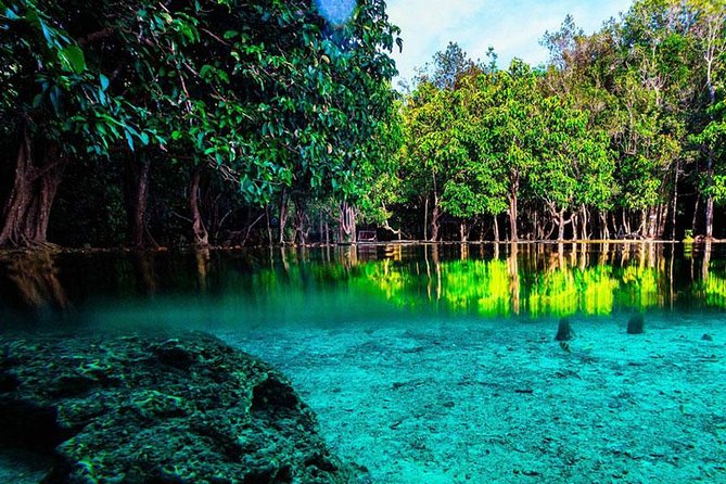 1 jungle tour to emerald pool krabi hot spring and tiger cave temple Jungle Tour to Emerald Pool, Krabi Hot Spring and Tiger Cave Temple