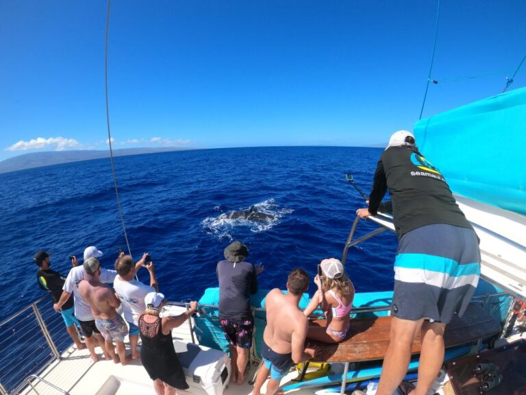 Kaanapali: Whale Watching Cruise With Open Bar