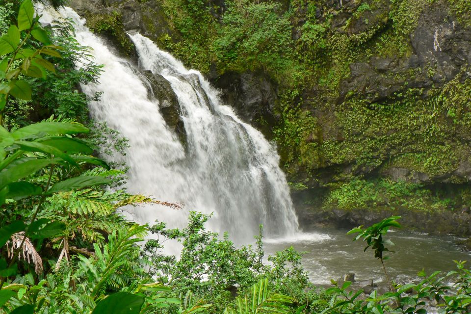 1 kahului guided rainforest and waterfall walk Kahului: Guided Rainforest and Waterfall Walk