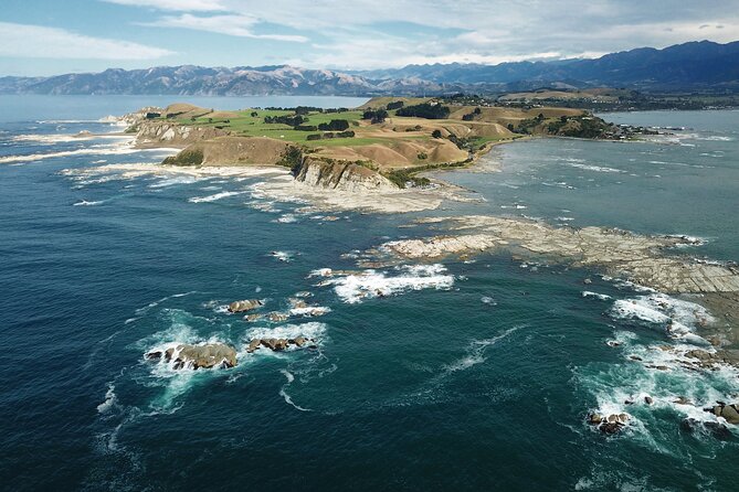 Kaikoura Day Tour With Kayak Experience From Christchurch