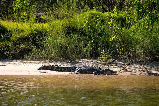 Kakadu National Park Tour in Australia With Lunch