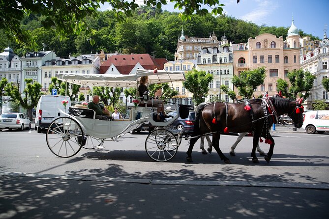 Karlovy Vary - Visit the Most Beautiful Spa Town in Private Tour - Pricing and Group Options