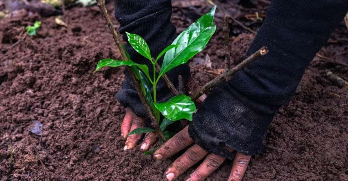 Kathmandu: Green Hike Jama Chwok & Tree Planting Day Tour - Experience Highlights