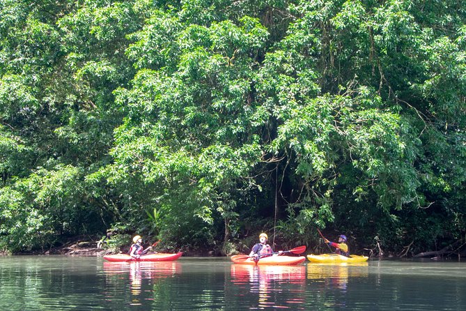1 kayak jungle tour sarapiqui river costa rica Kayak Jungle Tour - Sarapiqui River - Costa Rica