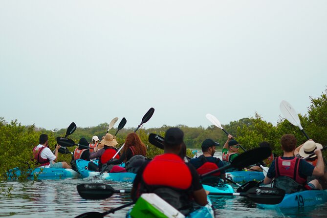 Kayak Through the Mangroves to the Purple Island