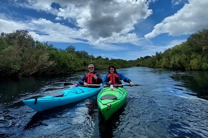 Kayak Through the Sunken Forest of the Maullín River