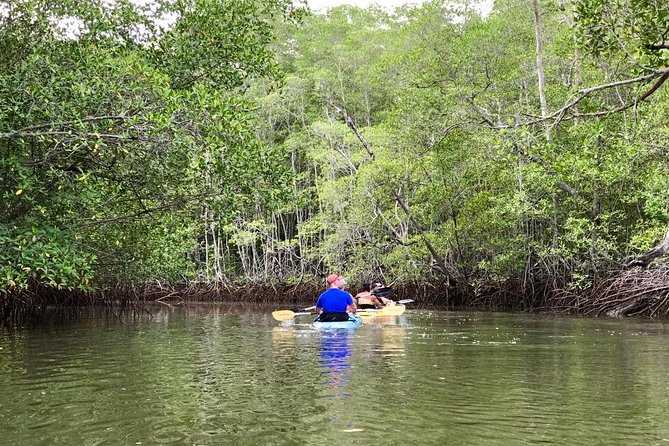 Kayak to the Heart of the National Park