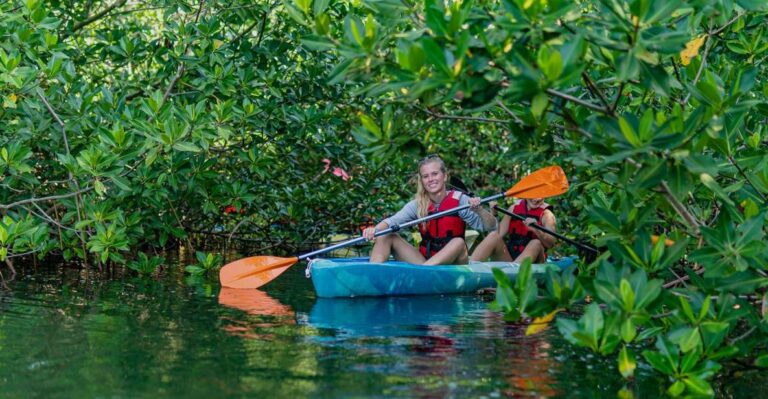 Kayak Tour in Cancun With Photos Included