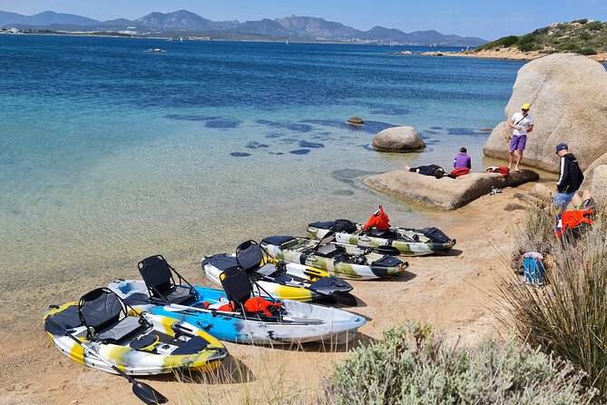 1 kayak tour in golfo aranci with aperitif and dolphin watching Kayak Tour in Golfo Aranci With Aperitif and Dolphin Watching