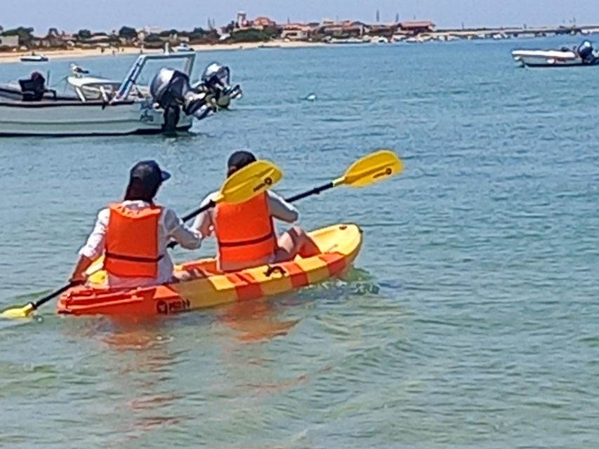 1 kayak tour in ria formosa olhao Kayak Tour in Ria Formosa - Olhão