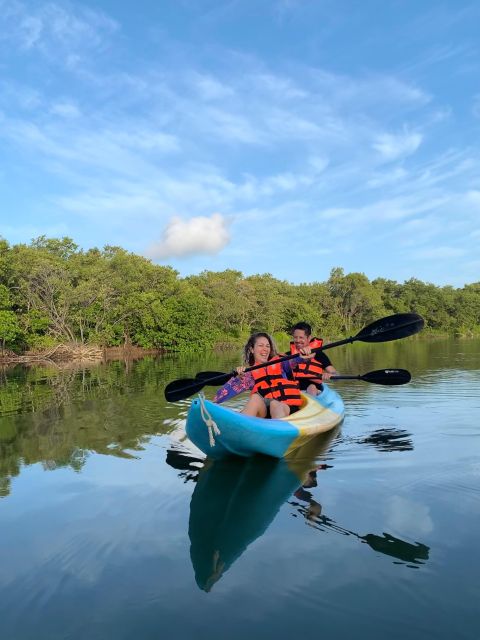 1 kayak tour through holbox mangroves Kayak Tour Through Holbox Mangroves