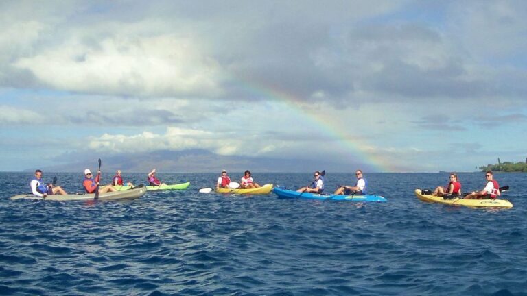 Kayaking and Snorkeling at Turtle Reef