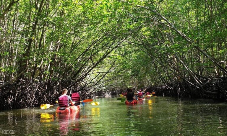 Kayaking Ao Thalane Krabi and ATV Extreme