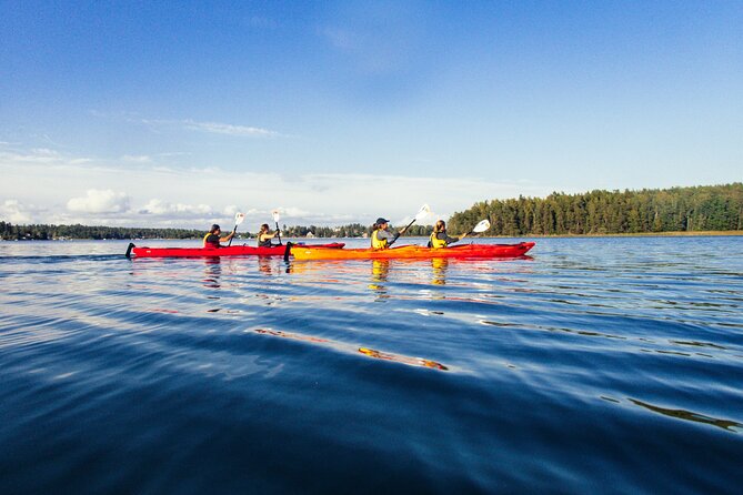Kayaking Tour Around Vaxholm in Stockholm Archipelago