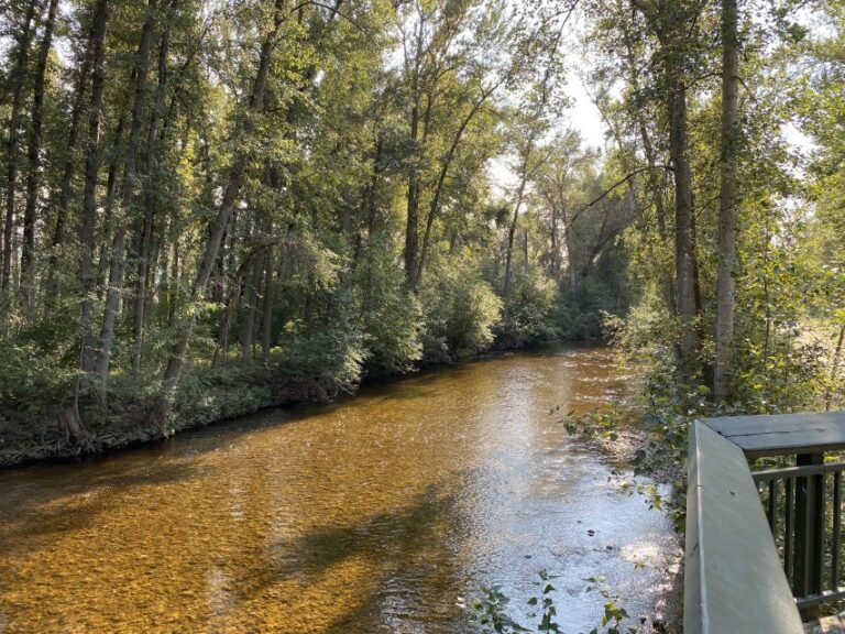 Kelowna: Mission Creek Salmon Run Audio Tour by E-Bike