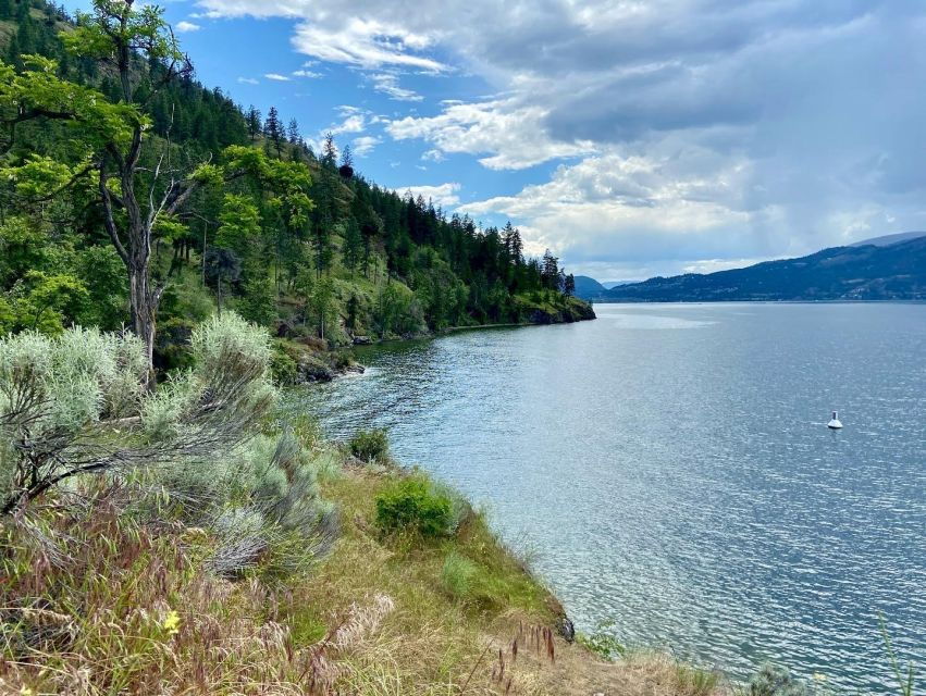 1 kelowna okanagan lake guided e bike tour with picnic Kelowna: Okanagan Lake Guided E-Bike Tour With Picnic