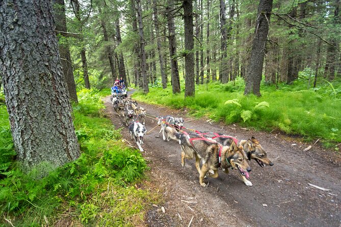 1 kennel tour and dog sled ride Kennel Tour and Dog Sled Ride