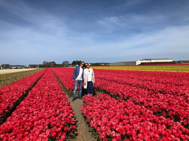 Keukenhof, Flower Fields & Delft City