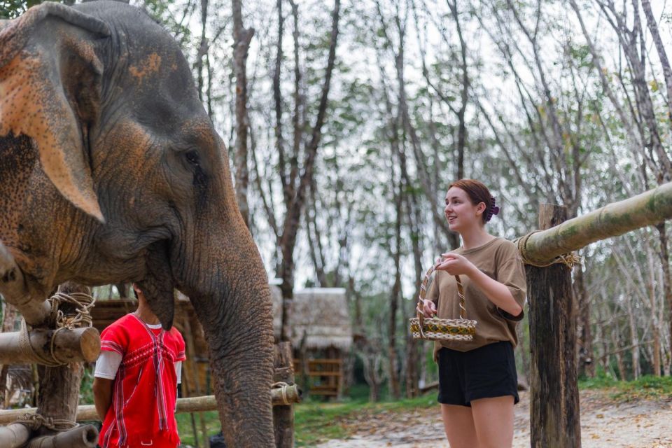 1 khao lak 1 hour elephant sanctuary eco journey with shuttle Khao Lak: 1-Hour Elephant Sanctuary Eco-Journey With Shuttle