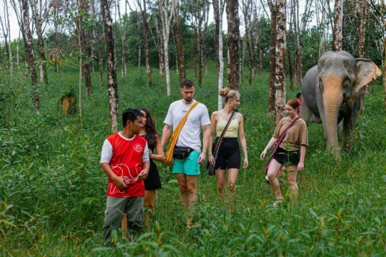 Khao Lak Eco Safari: Elephant Sanctuary Small Group Tour