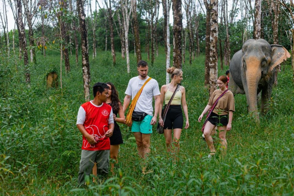 1 khao lak eco safari elephant sanctuary small group tour Khao Lak Eco Safari: Elephant Sanctuary Small Group Tour