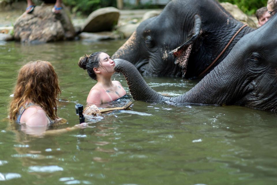 1 khao lak elephant care Khao Lak: Elephant Care Experience