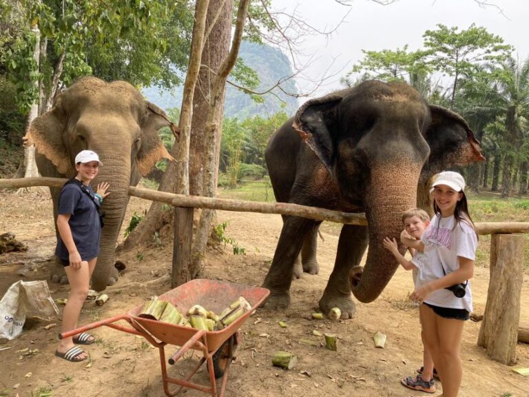 Khao Lak: Khao Sok Elephant Sanctuary and Night Jungle Walk