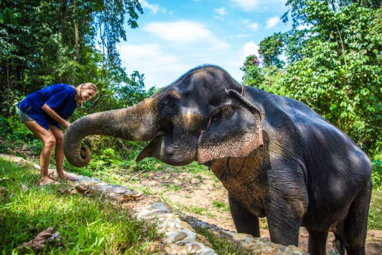 Khao Sok: Ethical Elephant Sanctuary Experience
