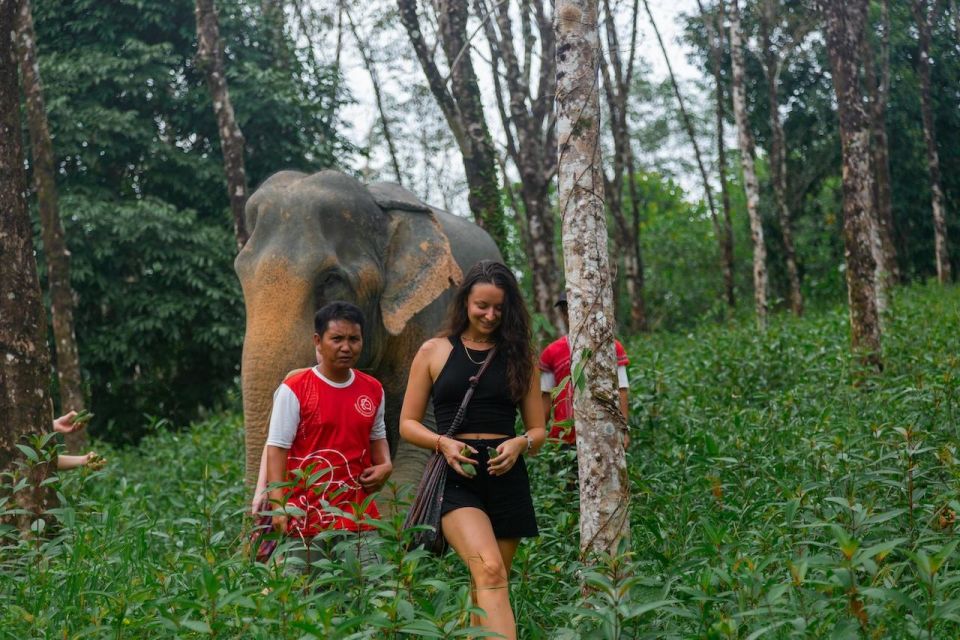 1 khaolak begin the day with elephants walk and feed tour Khaolak: Begin the Day With Elephants - Walk and Feed Tour