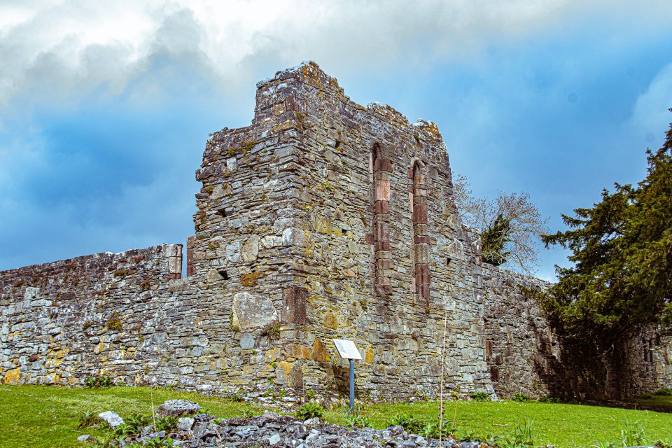 Killarney: Guided Boat Tour to Innisfallen Island