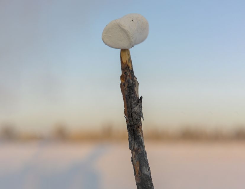 1 kiruna snowshoe hike ice fishing tour Kiruna: Snowshoe Hike & Ice Fishing Tour