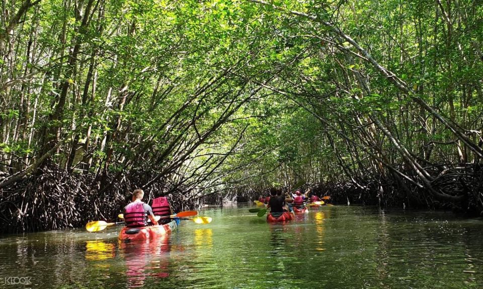 Ko Lanta: Half-Day Mangrove Kayaking Tour With Lunch