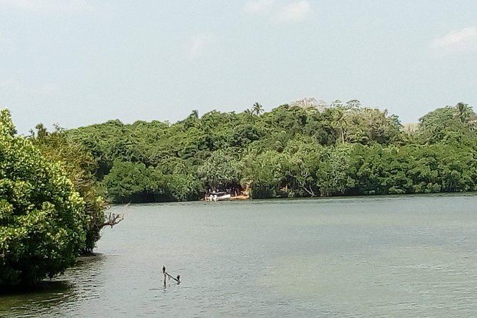 Koggala Lake Boat Tour