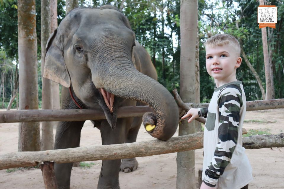 Koh Samui: Elephant Sanctuary Entry and Feeding Experience