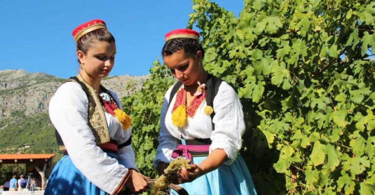 Konavle Valley: Private Half-Day Tour With Wine Tasting