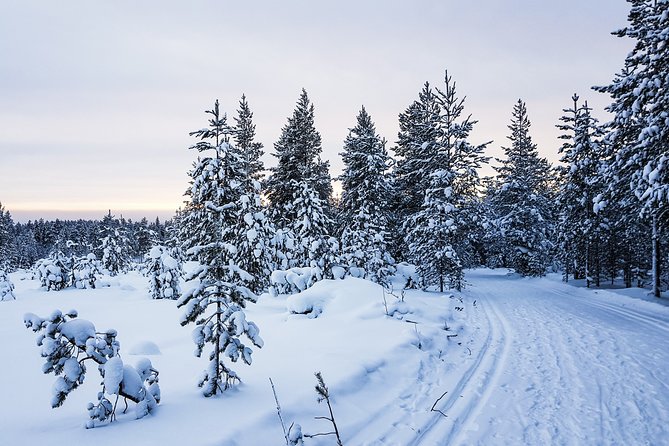 Korouoma Canyon Snowshoe Trip