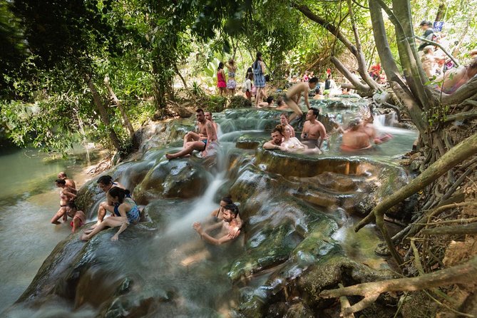 Krabi Emerald Pool, Hot Spring and Tiger Temple