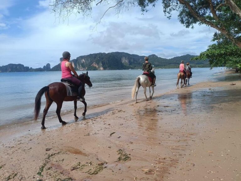 Krabi Horse Riding on the Beach and Atv Extreme