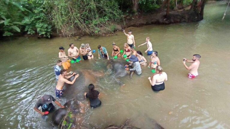 Krabi Kayaking and Elephan Barting