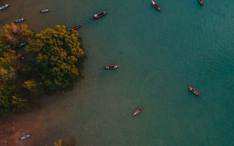 Krabi: Kayaking Ao Thalane and Khaothong Hill Café