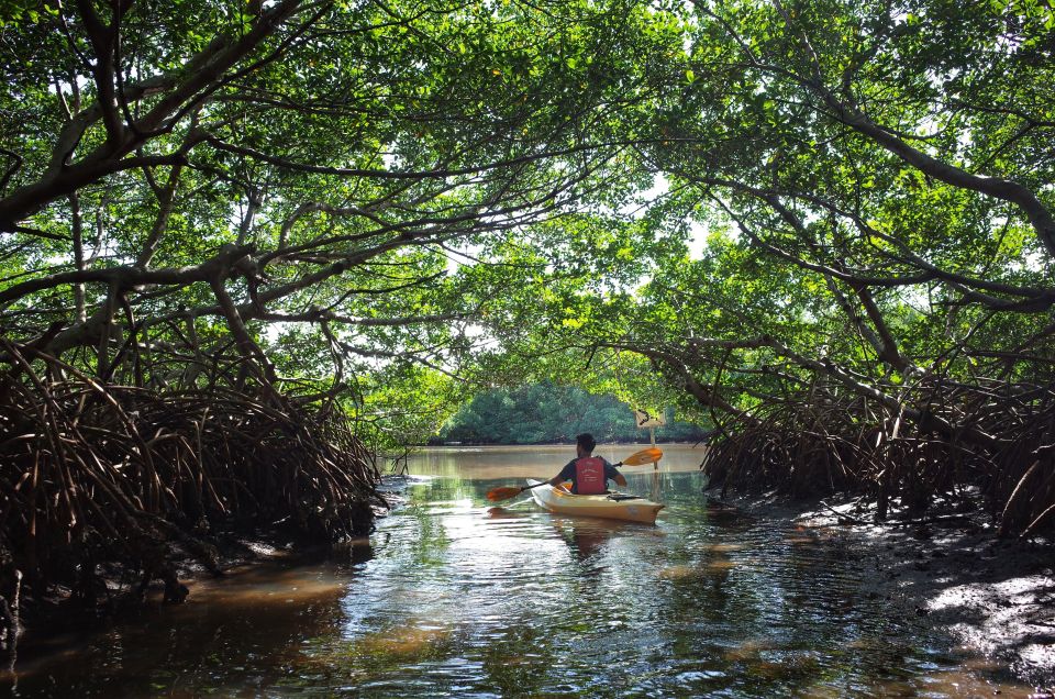 1 krabi kayaking ao thalane Krabi Kayaking Ao Thalane