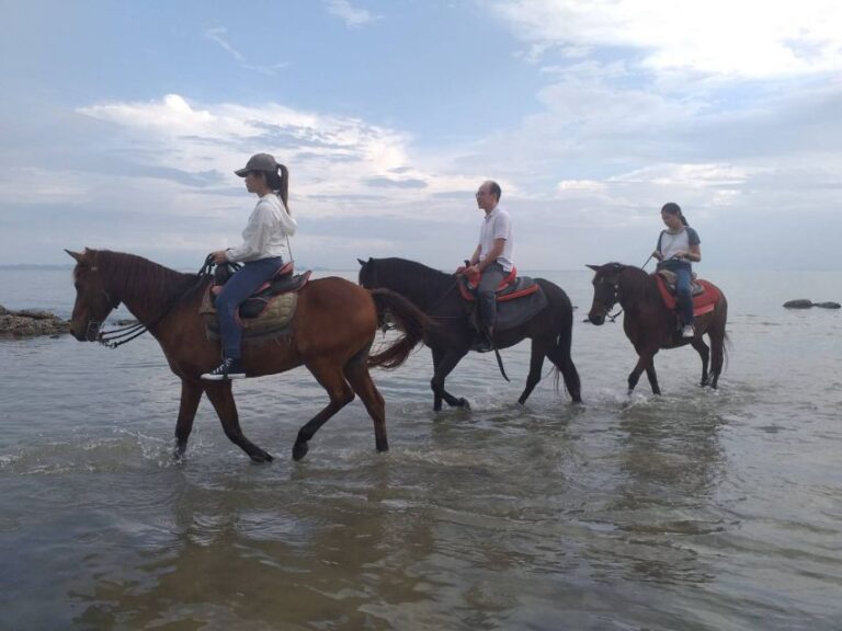 Krabi Province: City Tour With 1-Hour Beach Horse Ride