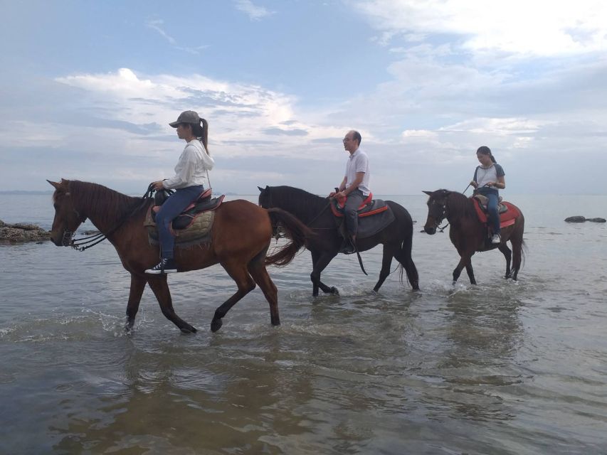 1 krabi province city tour with 1 hour beach horse ride Krabi Province: City Tour With 1-Hour Beach Horse Ride