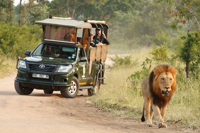 1 kruger national park afternoon private safari Kruger National Park Afternoon Private Safari